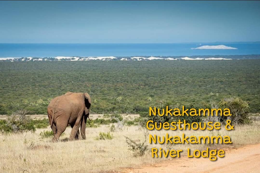 Nukakamma Guest House Colchester Esterno foto