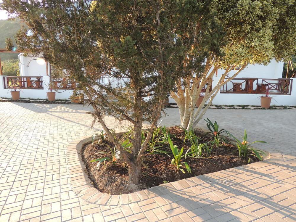 Nukakamma Guest House Colchester Esterno foto